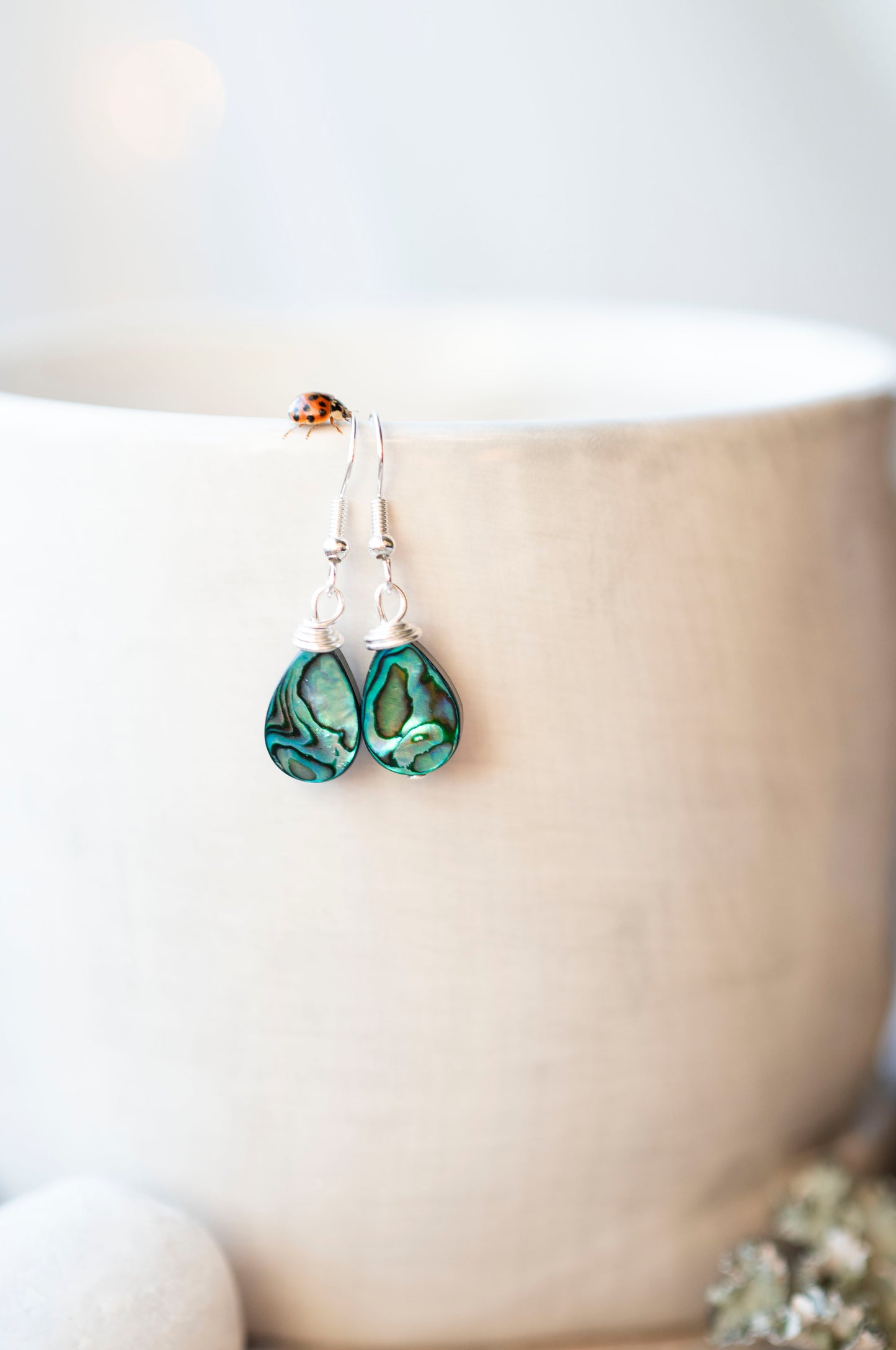 Abalone Shell Earrings