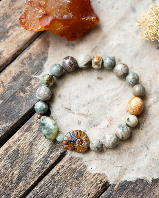 Fossil Coral Glass Ammonite Gemstone Stretch Bracelet